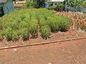 Terreno com 252m�, 12 metros de frente na Rua Dan�bio Azul