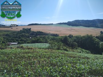 Ch�cara com 20.000m� na localidade de Lajeado Turmeiro