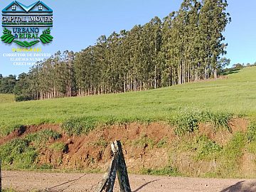 Terra com 6.5 Hectares na Localidade de Linha Principal