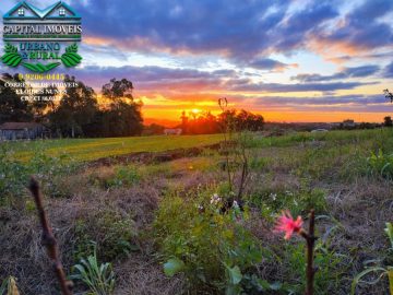 Ch�cara de 5.000m�, 250m do asfalto na Av. Vit�rio Dezorzi