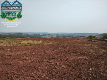 Ch�cara - Venda - Interior - Crissiumal - RS