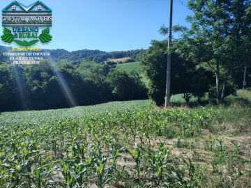 � Ch�cara com 10.000m� na localidade de Lajeado Turmeiro